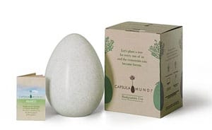 Capsula Mundi 