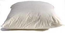 Earthsake Pillow