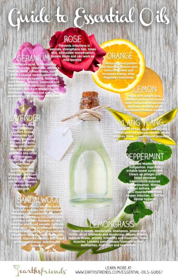 Essential Oils Guide: What Does Each Oil Do?