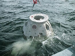 Eternal Reefs being lowered into ocean