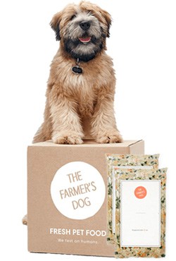 The Farmer's Dog box of food with dog