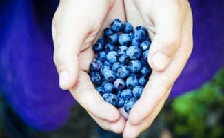 Handful of blueberries