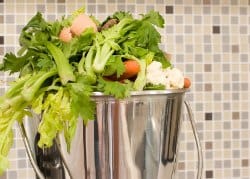 Indoor compost bucket