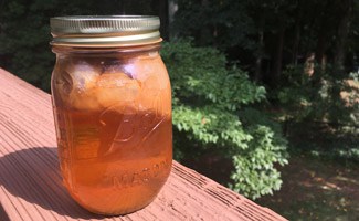 SCOBY in jar
