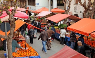 Food outside at farmer's market