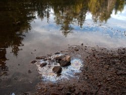 Oil leak