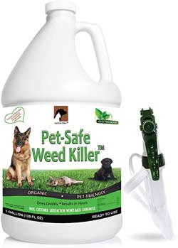 Bottle of pet safe weed killer with spray nozzle
