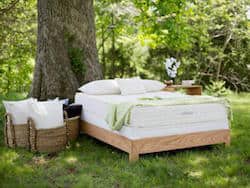 Savvy Rest Serenity Organic Mattress