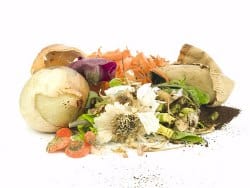Things you can compost