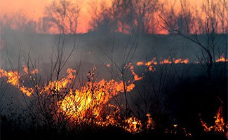 Wildfire burning