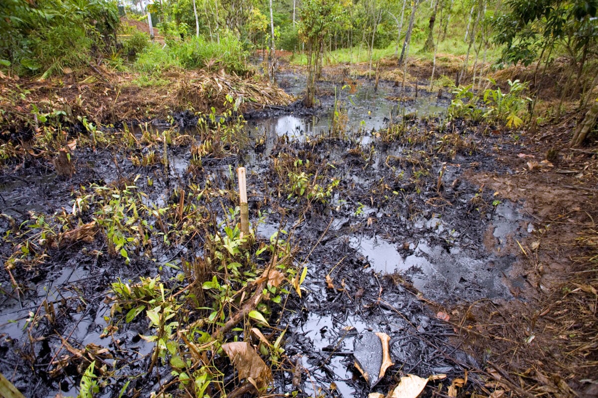 Oil spill in tropical rainforest.