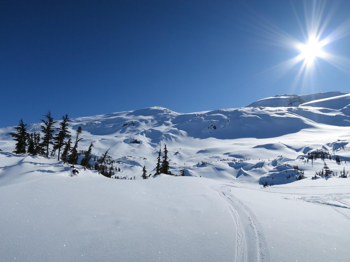 Canada in winter - a snowy landscape.