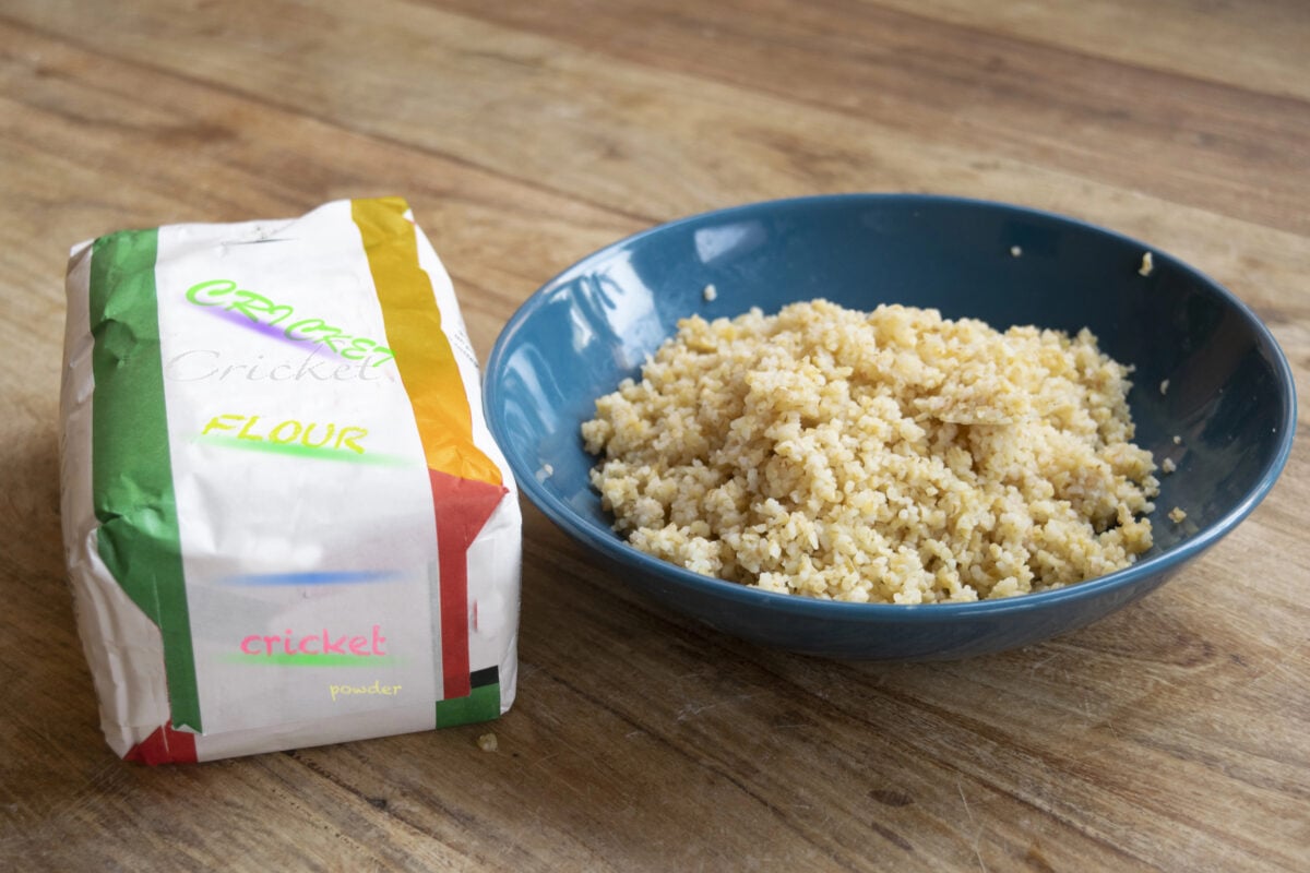alternative food made with cricket flour