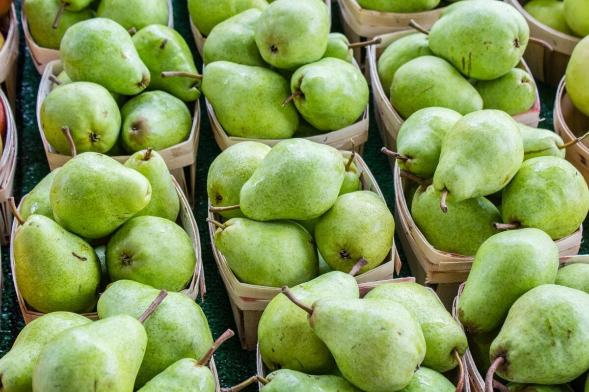 fresh green pears