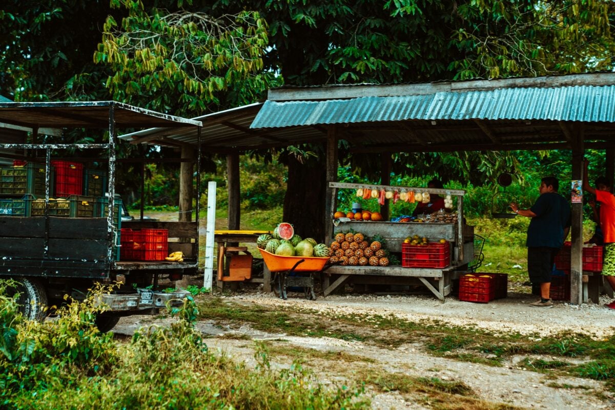 Fresh fruits at a fruit stand on the side of the road.
