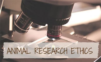 Microscope in lab: Animal Research Ethics