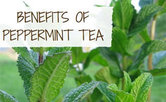 Peppermint leaves