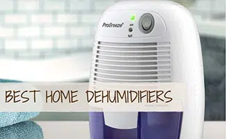 Dehumidifier in Living Space (Caption: Best Home Dehumidifiers)