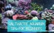 Picture of Saltwater Aquarium for Beginners
