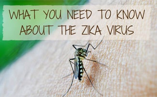 Mosquito on skin: Zika Virus